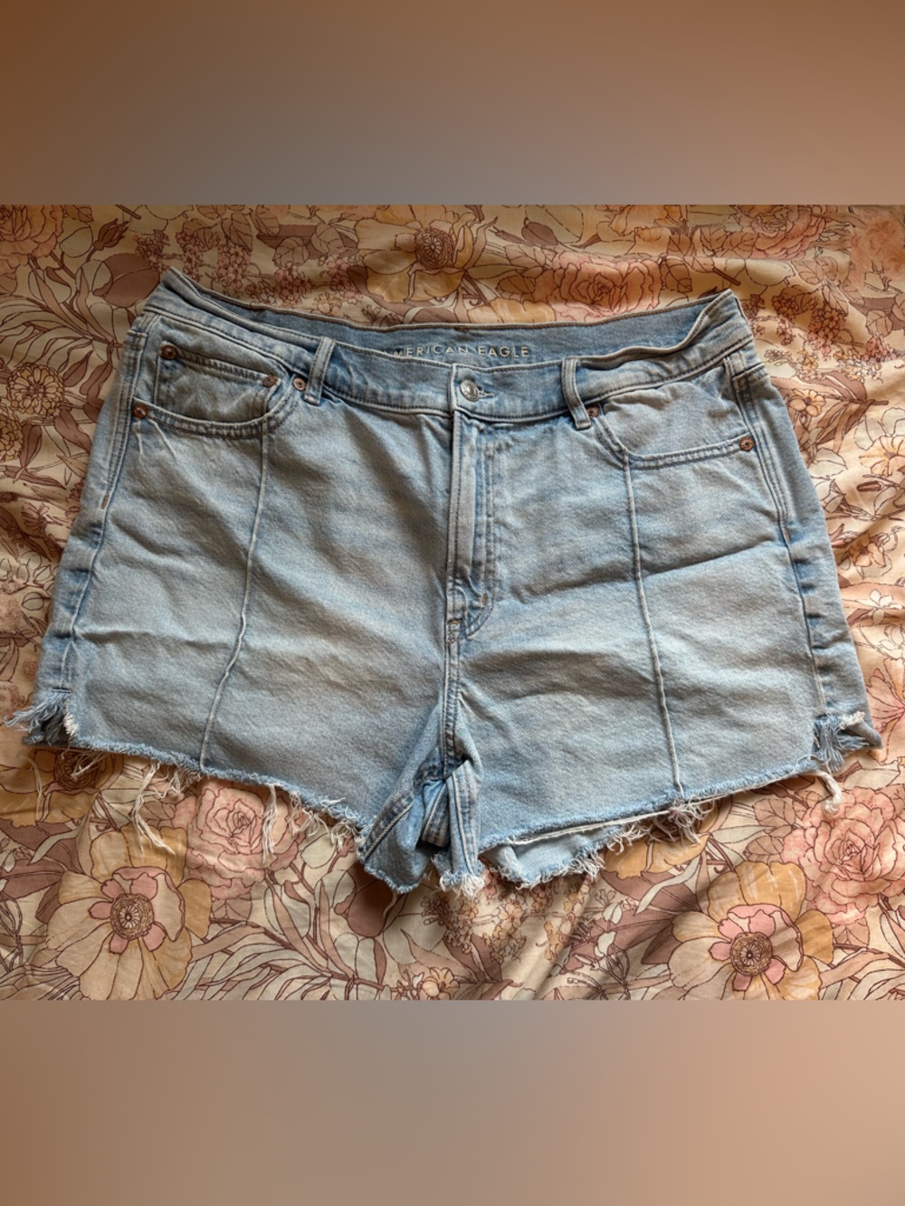 American Eagle Outfitters Light Blue Denim Cutoff Shorts